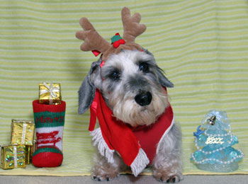 20091224_4.jpg
