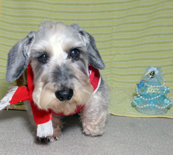 20091224_6.jpg
