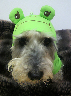 20100401_1.jpg