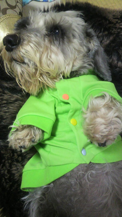 20100401_2.jpg