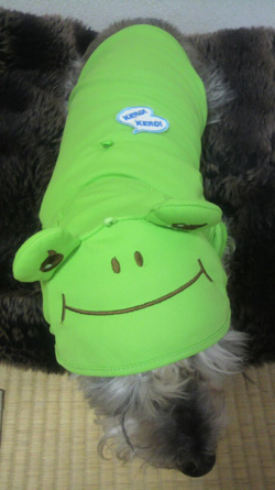 20100401_3.jpg