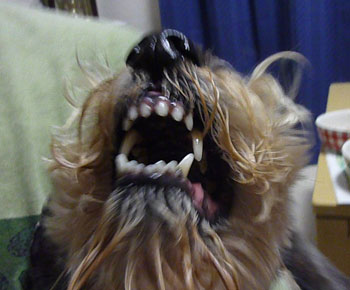 20100717_1.jpg