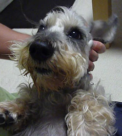 20100717_3.jpg