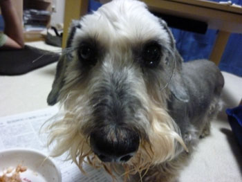 20100717_5.jpg