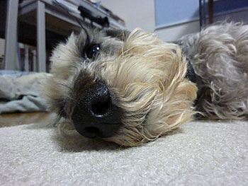 20100816_3.jpg