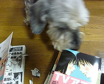 20100816_5.jpg
