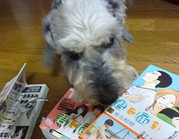 20100816_6.jpg
