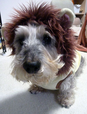 20101103.jpg