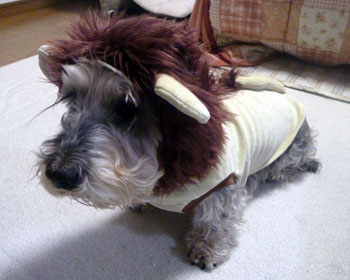 20101103_2.jpg