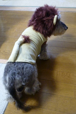 20101103_3.jpg