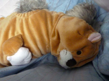 20101111_3.jpg