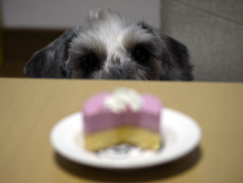 20110324_1.jpg