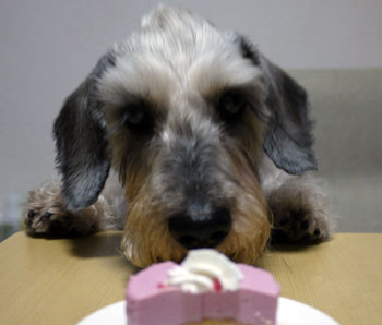 20110324_3.jpg