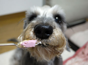 20110324_4.jpg
