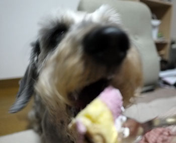 20110324_5.jpg