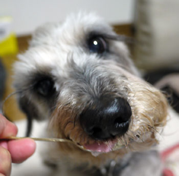 20110324_6.jpg