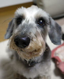 20110324_7.jpg