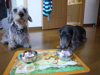 20110414_1.jpg