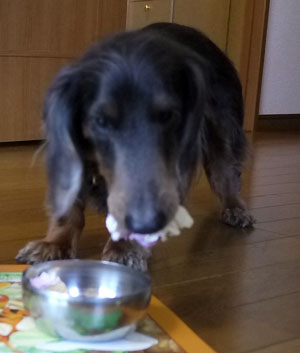 20110414_2.jpg