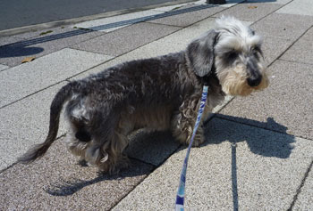 20110419_1.jpg