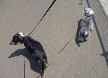 20110419_2.jpg