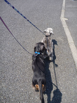 20110419_3.jpg