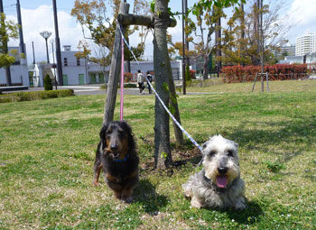 20110419_4.jpg