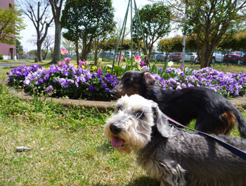 20110419_5.jpg