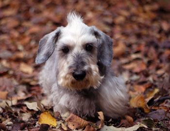 20110929_6.jpg