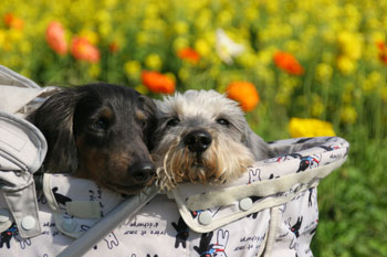 20120327.jpg