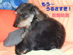 20060628_3.jpg