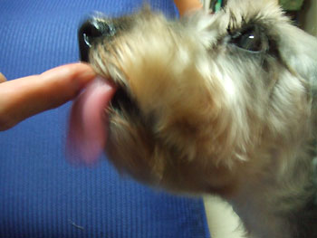 0912_4.jpg