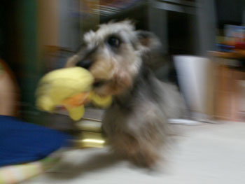 0923_5.jpg