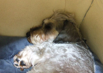 20060903.jpg