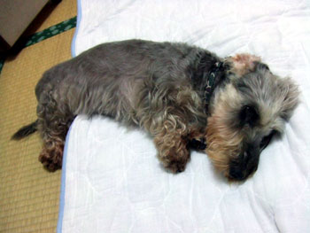 20060904_2.jpg
