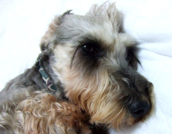 20060904_3.jpg