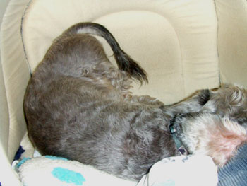20060906_4.jpg