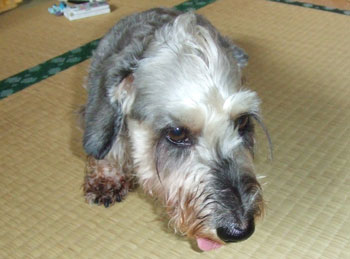 20060911_2.jpg