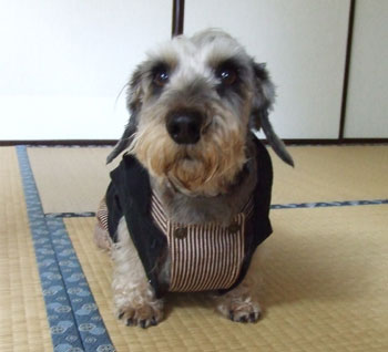 20061114_1.jpg