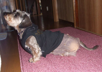20061114_3.jpg