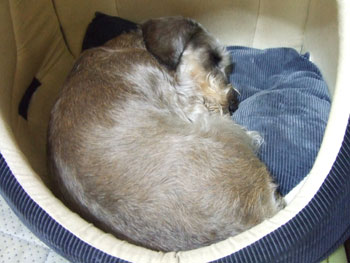 20061115.jpg