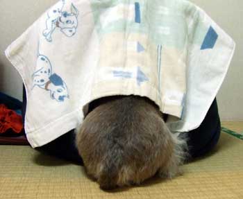 20061119_2.jpg