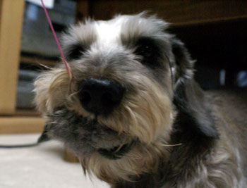 20061123_3.jpg