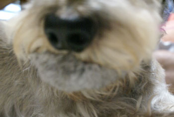 20061123_4.jpg