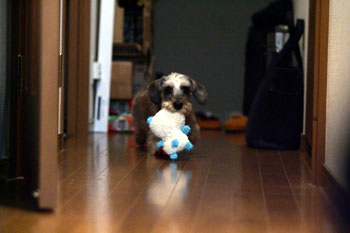 20061124_1.jpg