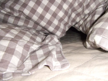 20061127_2.jpg