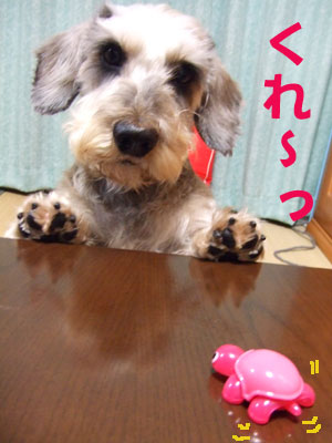20061127_7.jpg