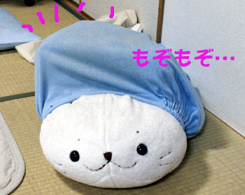 20061130_2.jpg
