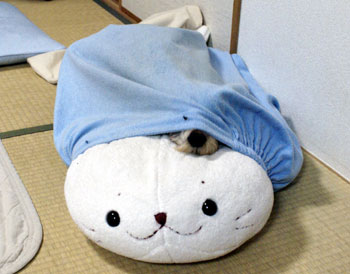 20061130_3.jpg