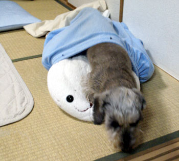 20061130_5.jpg